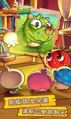 燃烧的蔬菜3HD游戏截图3